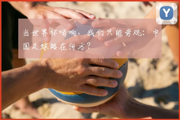 当世界杯哨响，我们只能旁观：中国足球路在何方？