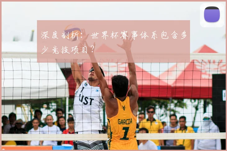 深度剖析：世界杯赛事体系包含多少竞技项目？