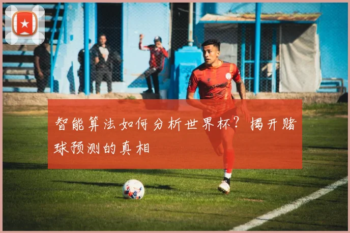 智能算法如何分析世界杯？揭开赌球预测的真相