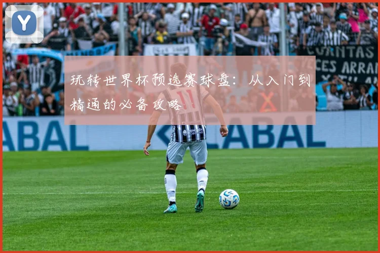玩转世界杯预选赛球盘：从入门到精通的必备攻略