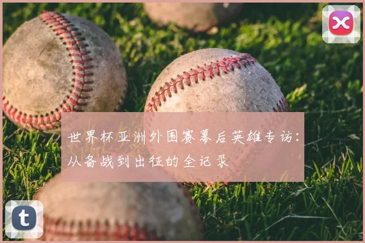 世界杯亚洲外围赛幕后英雄专访:从备战到出征的全记录