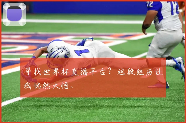 寻找世界杯直播平台？这段经历让我恍然大悟。