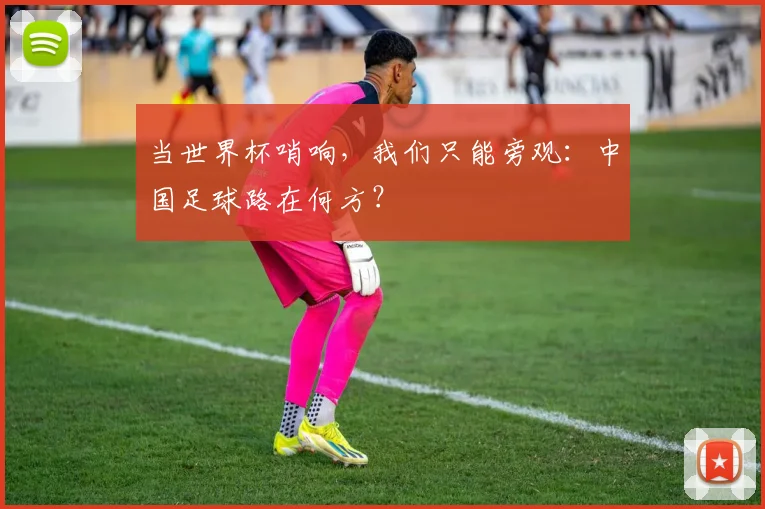 当世界杯哨响,我们只能旁观:中国足球路在何方?